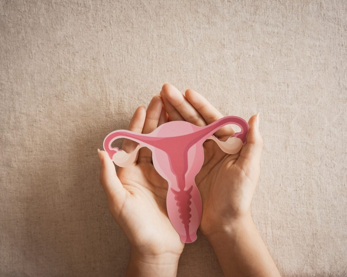 Woman,Holding,Uterus,,Female,Reproductive,System,,,Woman,Health,,Pcos,